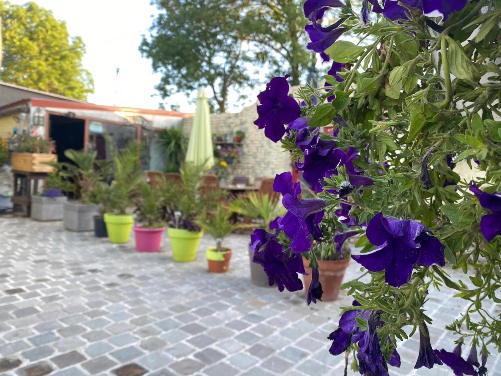 Le Relais De La Posterie Guest House Gembloux Ngoại thất bức ảnh